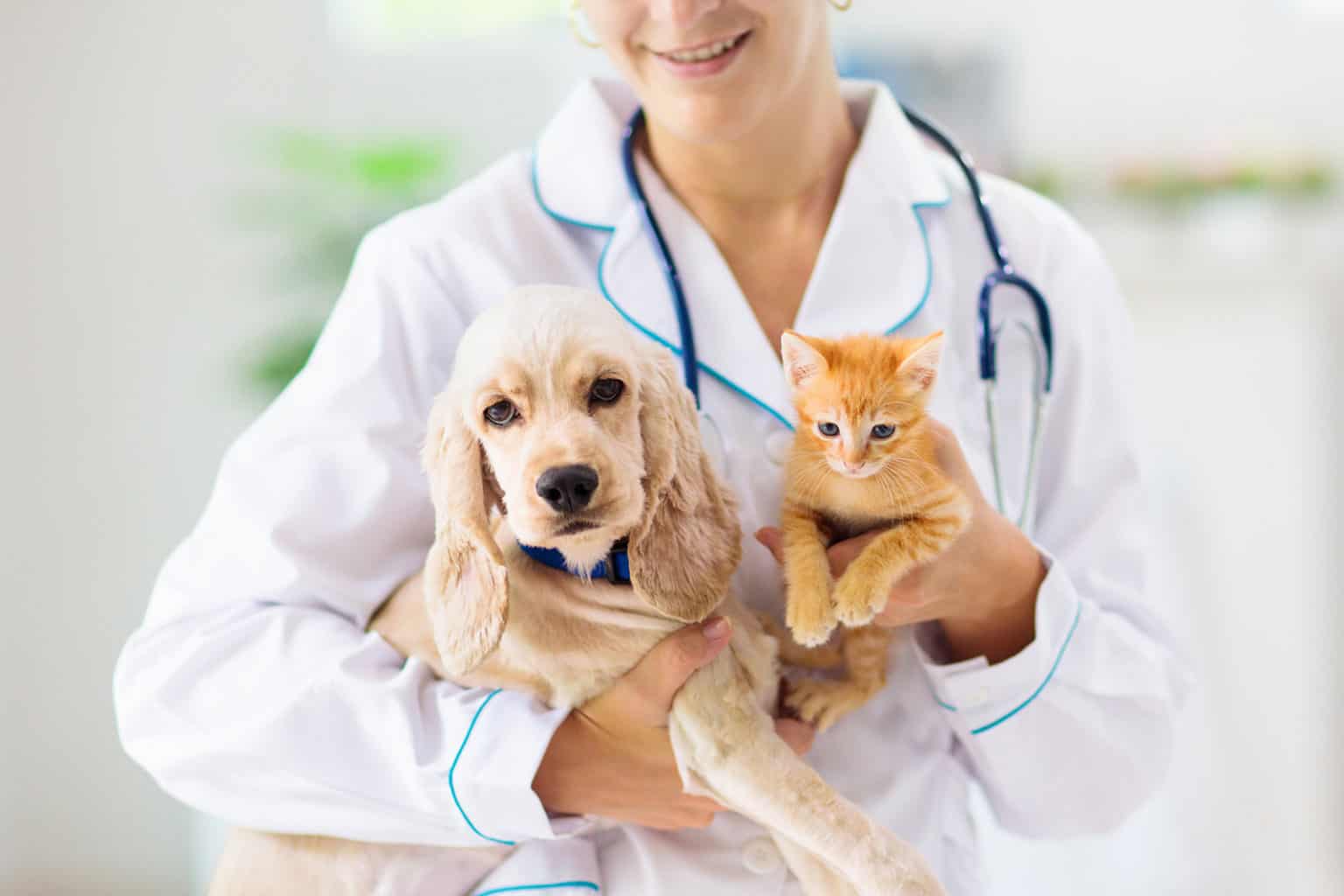 pet insurance aspca